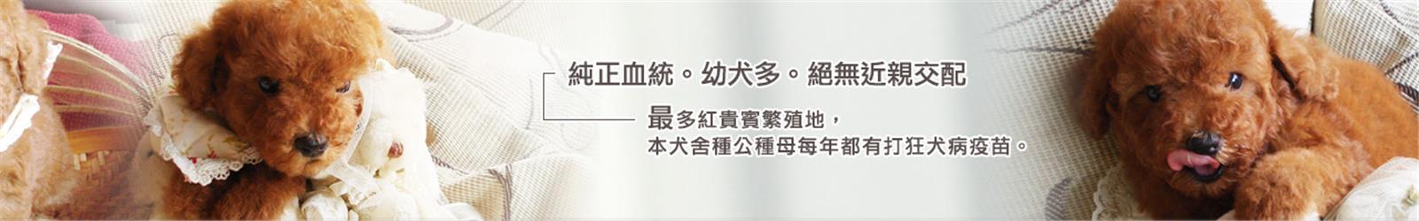 圖一